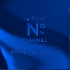 Bertrand Burgalat - Le Grand Numro De Chanel Par Bertrand Burgalat