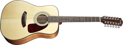 Fender 12 string