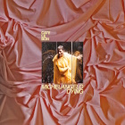 Cate Le Bon - Michelangelo Dying